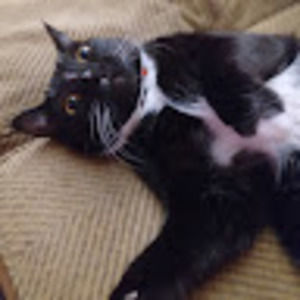 Meet your Posher, John